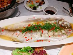 鸡汁大白鱼-玉玲珑(陆家嘴店)