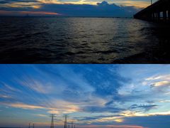 -宝安西湾红树林湿地公园