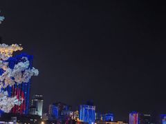 -武汉两江游览·夜游长江(汉口粤汉码头)