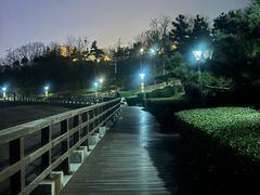 -燕儿岛山公园