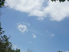 -福建鲤鱼洲酒店