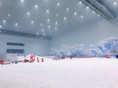 -哈尔滨热雪奇迹