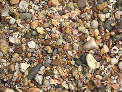 -西涌国际滨海旅游区