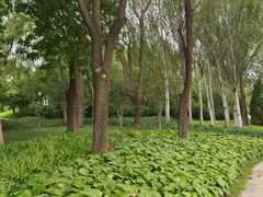 -北坞公园