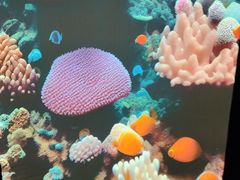 -乌鲁木齐海洋馆