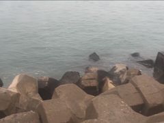 -龙口南山旅游景区