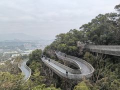 -福道