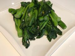 宁夏菜心-有心德(隆生店)