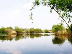 -五甲塘生态湿地公园