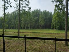 -黄海国家森林公园