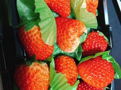 -百果园PAGODA(玄武成贤街店)