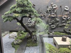-曲水兰亭(北京四惠店)