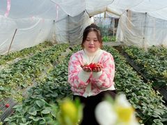 -小鱼草莓采摘园农家乐·小鱼餐厅