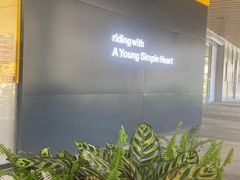 -艾薯夫妇Aysh(福田星河COCOPark店)