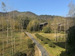 -大唐贡茶院