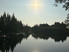 -苏州太湖国家湿地公园