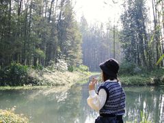 -桤木河湿地公园