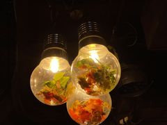 -胡桃里音乐酒馆(东区店)