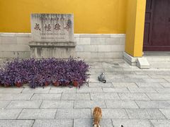 -西园戒幢律寺