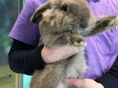 -雨林宠物医院 非犬猫异宠专科