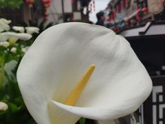 -海窝子古镇