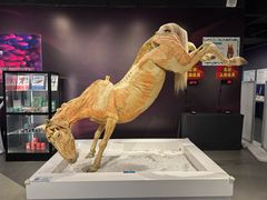 -生命奥秘博物馆