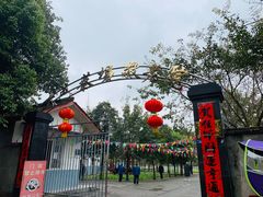 -乐氏荤豆花