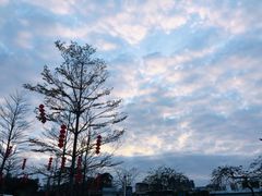 -广州市白云山风景名胜区