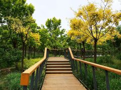 -东郊湿地公园