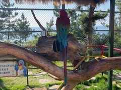 -西霞口神雕山野生动物世界