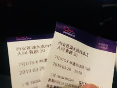 -中影国际影城(大唐西市4K临境音店)