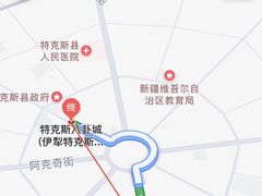-特克斯八卦城