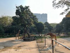 -深圳野生动物园