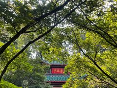 -岳麓山风景名胜区