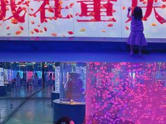 -重庆欢乐海底世界