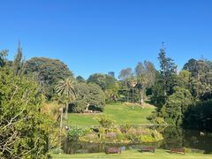 -墨尔本皇家植物园