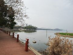 -艾溪湖湿地公园
