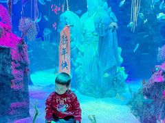 -沈阳海洋探索中心