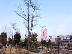 -台场海滨公园船码头