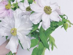 -国人川菜(李家村建东街店)