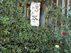 -昆山城市生态森林公园