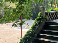 -青岛崂山太清宫