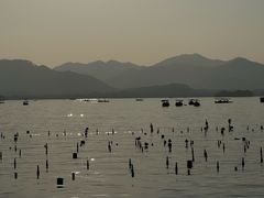 -杭州湖滨in77