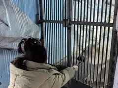 -泉城欧乐堡海洋极地世界