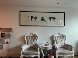 -爱莎扁平疣·汗管瘤·斑痣中心