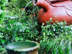 -十八棵（老龙井）御茶园(老龙井店)