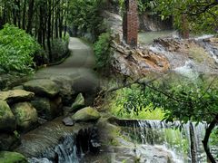 -东莞市大岭山森林公园