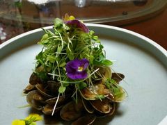 -一盏云·茶馆·淮扬菜(高新店)