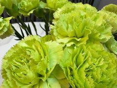 -来之顺海鲜菜馆·青岛菜·始于1993(栈桥店)