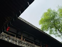 -三垟湿地